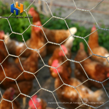 Menards Chicken Wire Fence para aves de aves precio na Polônia à venda